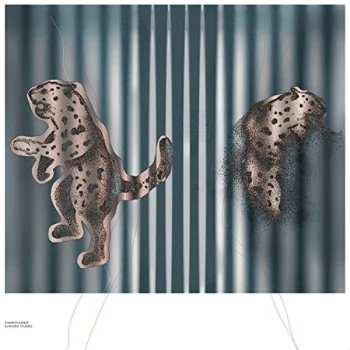 Image of Kamron Saniee - Euphoric Studies Vinyl