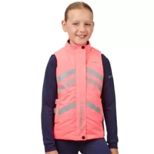 Image of Weatherbeeta Reflective Quilted Gilet Juniors - Multi