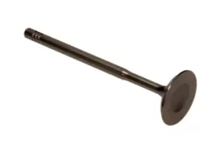 Image of AMP Inlet Valves PVWG039-S-0-N Intake Valves,Inlet Valve VW,AUDI,SKODA,Golf IV Schragheck (1J1),Golf V Schragheck (1K1),POLO (9N_),TOURAN (1T1, 1T2)