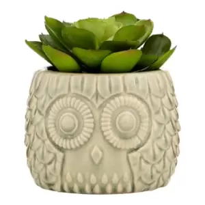 Image of Premier Housewares Large Faux Succulent in Grey Ceramic Owl Pot