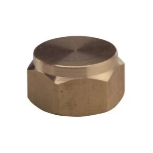 Image of Plumbsure Threaded Blanking Cap Dia9.5mm