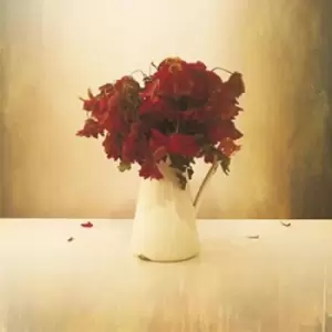 Image of The Cardiac Hotel by The Lion & the Wolf CD Album