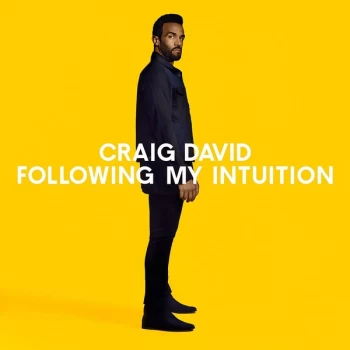 Image of Craig David - Following My Intuition Vinyl