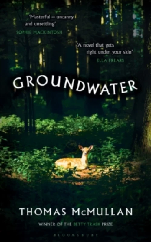 Image of Groundwater : Complex, chilling, masterful' Financial Times Hardback