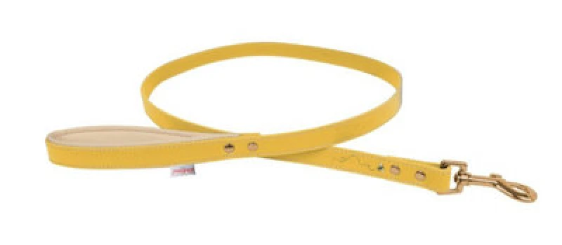 Image of Cath Kidston Bees Printed Lead Large