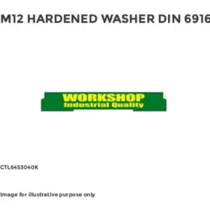 Image of Workshop M12 HARDENED WASHER DIN 6916- you get 50