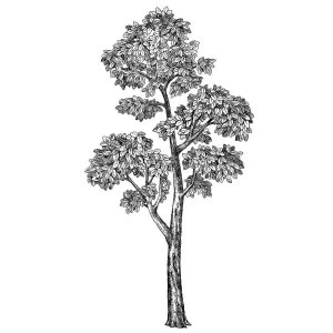 Image of Fine Decor Wall Pops Mulberry Tree Wall Art Kit