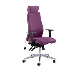 Image of Dynamic Independent Seat & Back Posture Chair Height Adjustable Arms Onyx Ergo Tansy purple Seat With Adjustable Headrest High Back