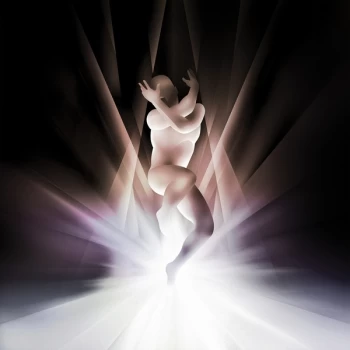 Image of The Smashing Pumpkins - Cyr Purple Orchid Vinyl