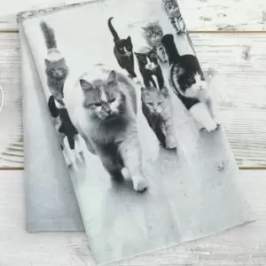 Image of Set of 2 MM Sketch Catmob Tea Towels White