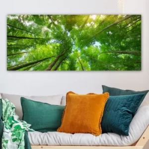 Image of YTY211999801_50120 Multicolor Decorative Canvas Painting