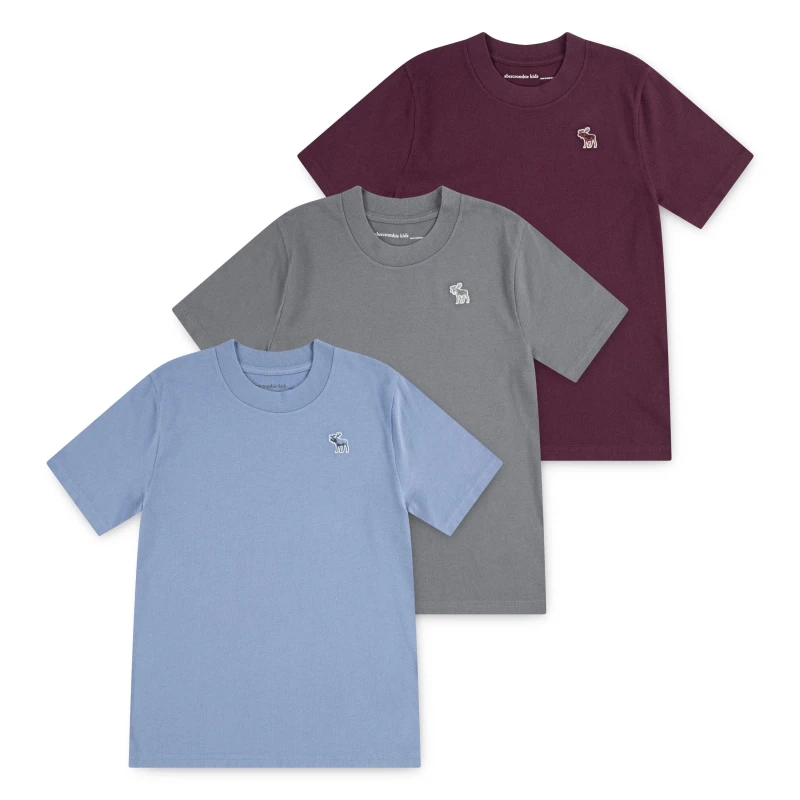 Image of Abercrombie and Fitch Kids Breathable Clothing Set Fig P4U male 15-16Y