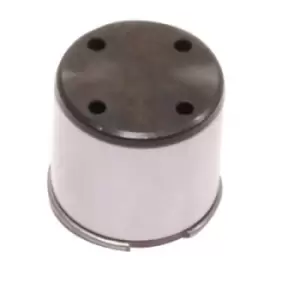 Image of HITACHI Plunger, high pressure pump 2503059 VW,AUDI,SKODA,Golf V Schragheck (1K1),TOURAN (1T1, 1T2),Passat Variant (3C5),GOLF VI (5K1)