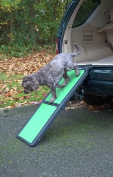 Image of Pet Gear Travel Light Fi Bold Pet Ramp