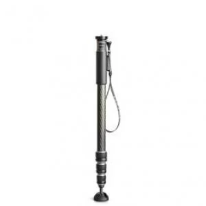 Image of Gitzo GM2542 Monopod