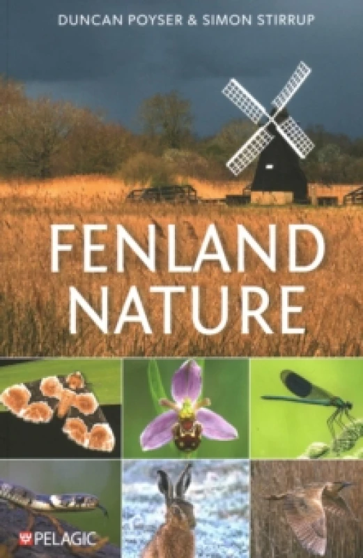 Image of Fenland Nature Paperback / softback