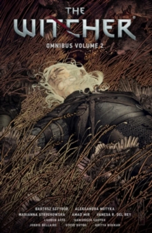 Image of The Witcher Omnibus Volume 2 Paperback / softback