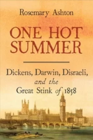Image of One hot summer by Rosemary Ashton