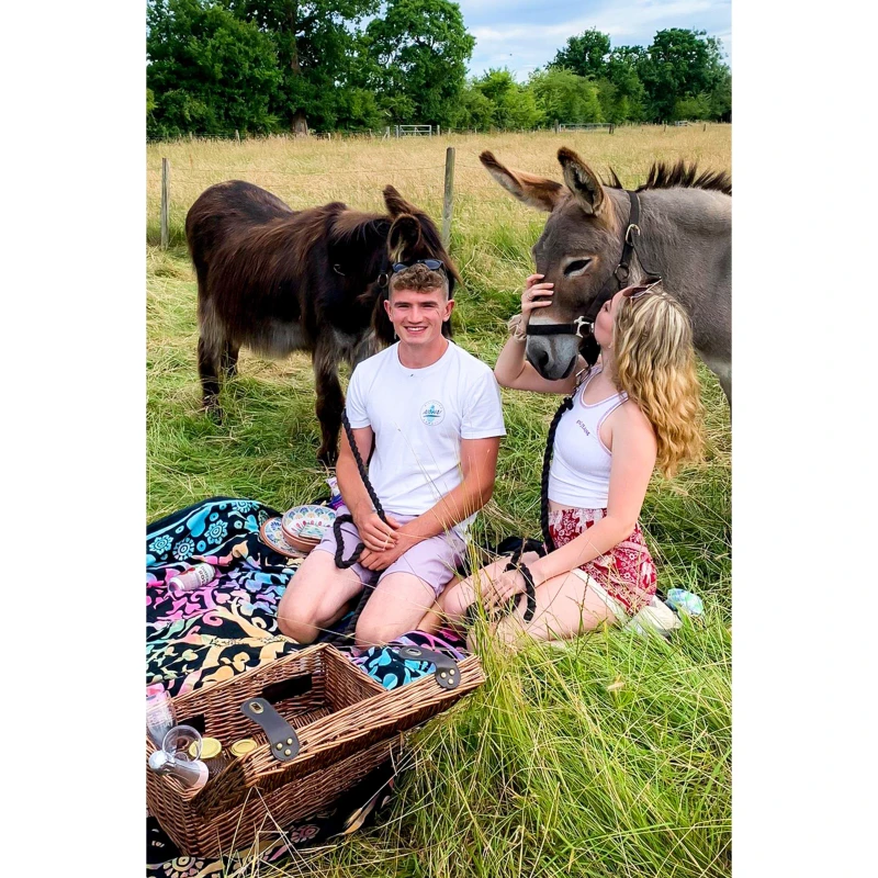 Image of Activity Superstore Donkey Picnic for Two at Dashing Donkeys None unisex One Size