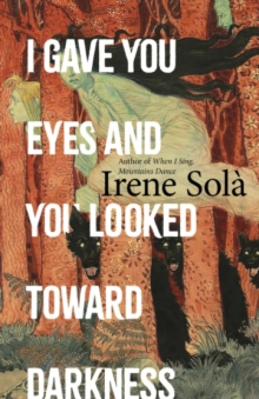 Image of I Gave You Eyes and You Looked Toward Darkness Hardback