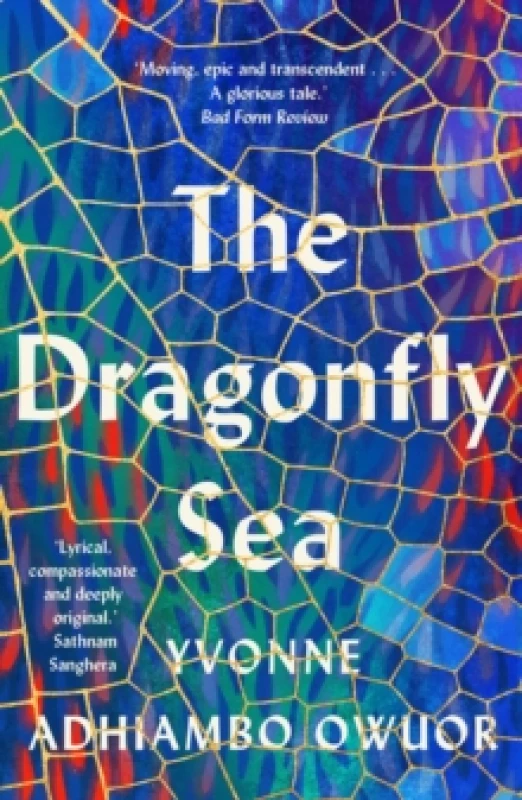 Image of The Dragonfly Sea Paperback / softback