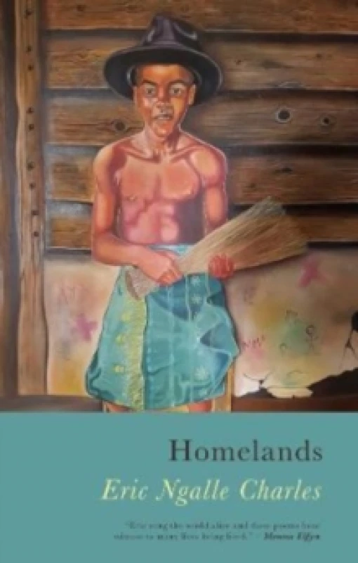 Image of Homelands Paperback / softback