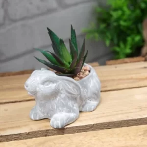 Image of Mini Cement Rabbit Planter with Succulent
