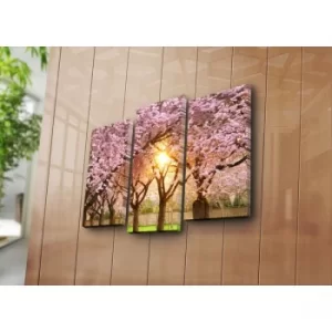 Image of 3KBPAT-39 Multicolor Decorative Canvas Painting (3 Pieces)
