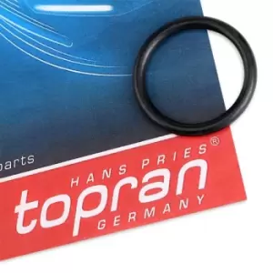 Image of TOPRAN Gaskets 103 007 Seal Ring, radiator cap bolt VW,AUDI,SKODA,Golf V Schragheck (1K1),POLO (9N_),TOURAN (1T1, 1T2),Passat Variant (3C5)