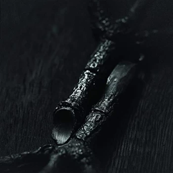 Image of Trepaneringsritualen - Algir; Eller Algir I Merkstave Vinyl