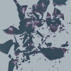 Image of Chasms - On The Legs Of Love Purified Vinyl