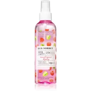 Image of Bielenda Eco Sorbet Raspberry Moisturizing & Soothing Face Toner