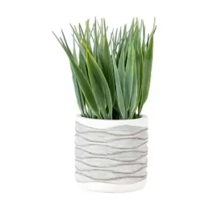 Image of Gallery Interiors Set of 2 Grass in Wavy Pot / Medium