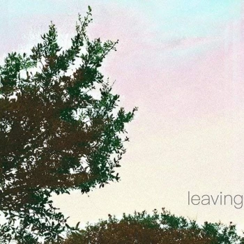 Image of Leaving - Leaving Vinyl