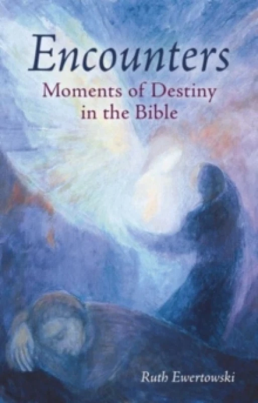 Image of Encounters: Moments of Destiny in the Bible Paperback / softback