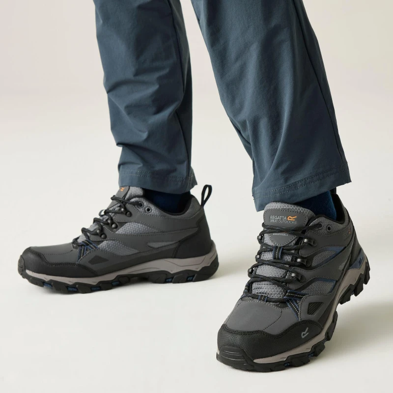 Image of Hiking shoes Regatta Holcombe III Gris Male 47