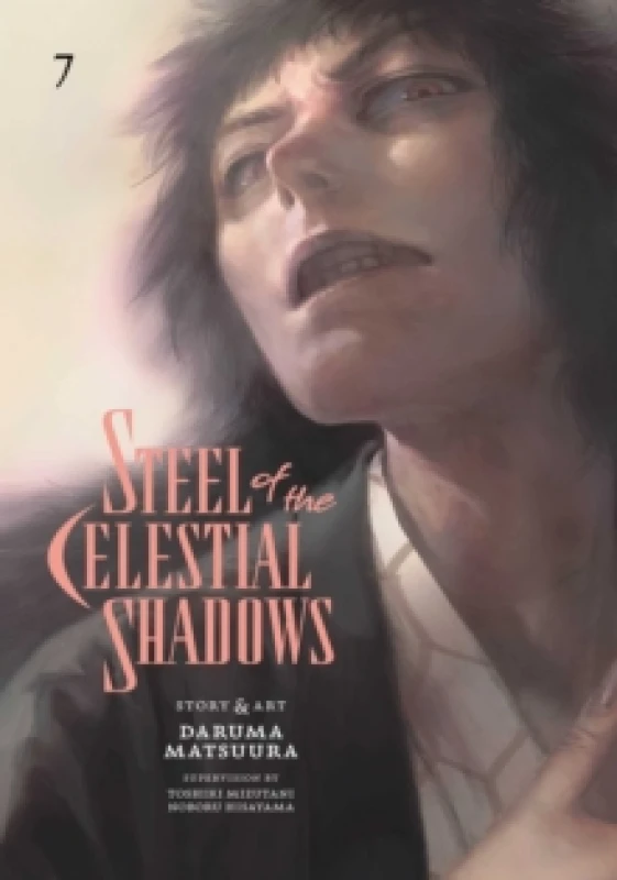 Image of Steel of the Celestial Shadows, Vol. 7 Paperback / softback