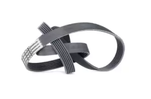 Image of CONTITECH V-ribbed belt 6PK1560 Serpentine belt,Auxiliary belt BMW,FORD,PEUGEOT,5 Limousine (E60),5 Touring (E61),3 Limousine (E36),5 Limousine (E34)