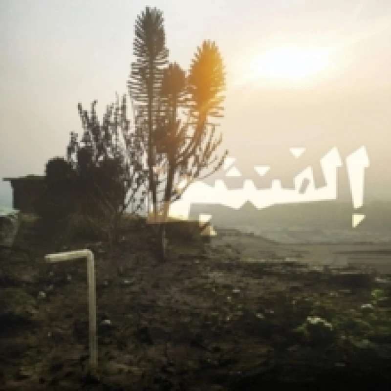 Image of Maurice Louca - Elephantine [CD / Album] Music CDs - Music CD