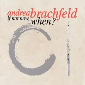Image of If Not Now When? by Andrea Brachfeld CD Album