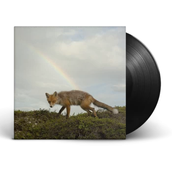 Image of Buck Meek - Buck Meek Vinyl