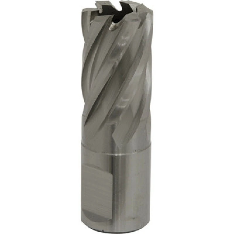 Image of Loops 19mm x 25mm Depth Rotabor Cutter - M2 Steel Annular Metal Core Drill 19mm Shank Metallics