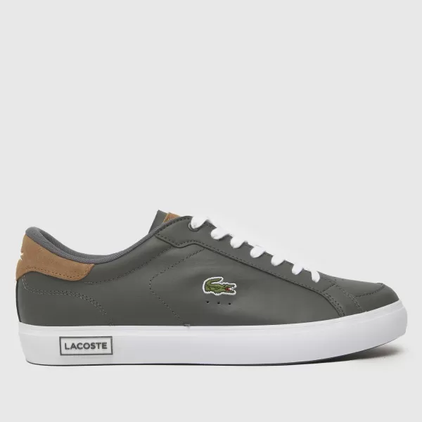 Image of Lacoste powercourt trainers in brown & grey