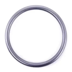 Image of TOPRAN Gaskets 104 526 Seal, oil cooler VW,AUDI,SKODA,Golf IV Schragheck (1J1),Golf V Schragheck (1K1),POLO (9N_),TOURAN (1T1, 1T2),GOLF VI (5K1)