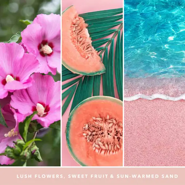 Image of Yankee Candle Pink Sands Scented Candle 368g