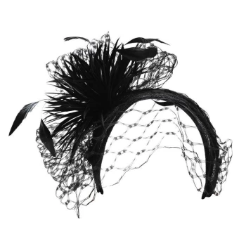 Image of Biba Feather Burst Headband - Black