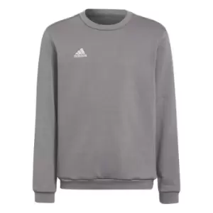 Image of Adidas ENT22 Sweater Juniors - Grey