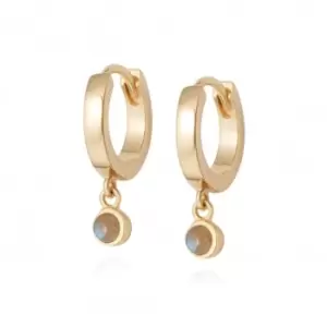 Image of Labrodite Healing Huggie Hoops 18ct Gold Plate Earrings HE3007_GP