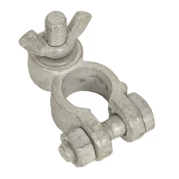 Image of Sealey BTP23 Battery Terminal - Post with Washer & Wing Nut 24V Positive