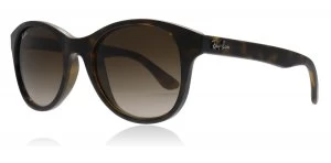 Image of Ray-Ban RB4203 Sunglasses Tortoise 710/13 51mm